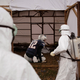 Illustration for article titled What If Tom Brady Gets Ebola?